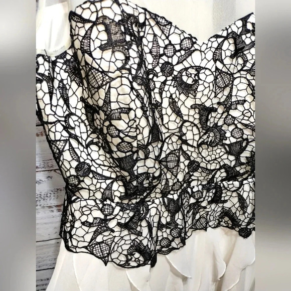 Harry Potter Lace Black Ivory Ruffle Gown size 16 Deathly Hollows Formal - Picture 5 of 8